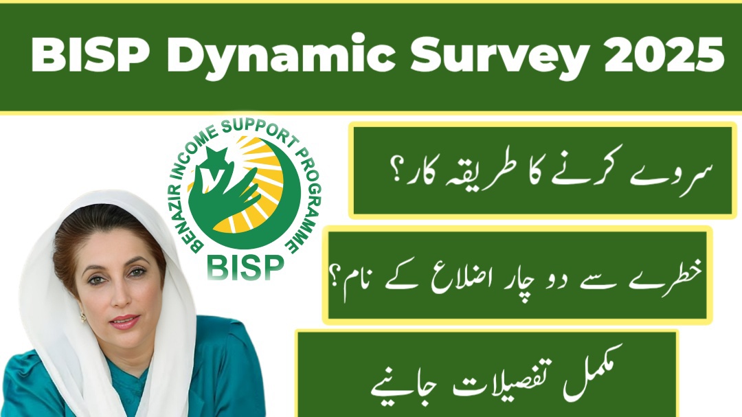 Bisp dynamic survey 2025