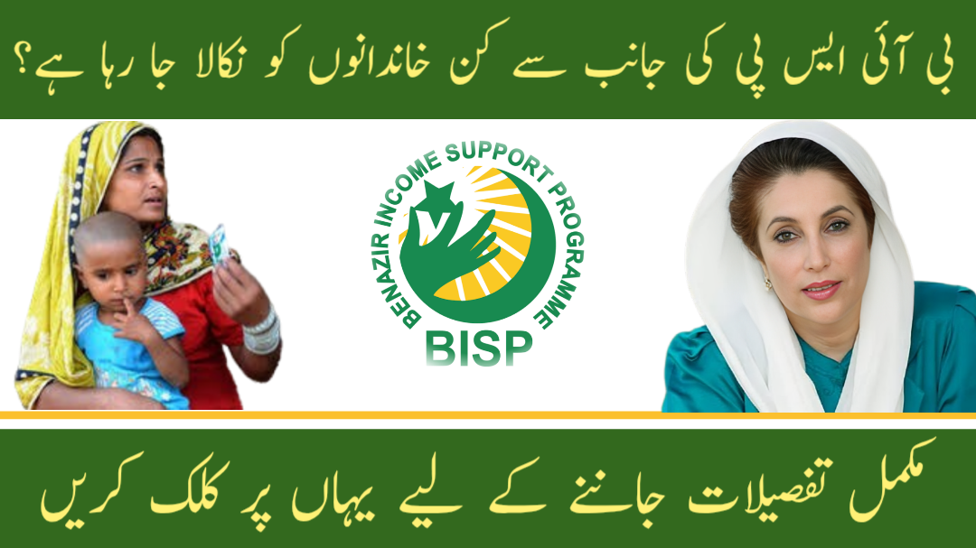 Bisp 2025 removal