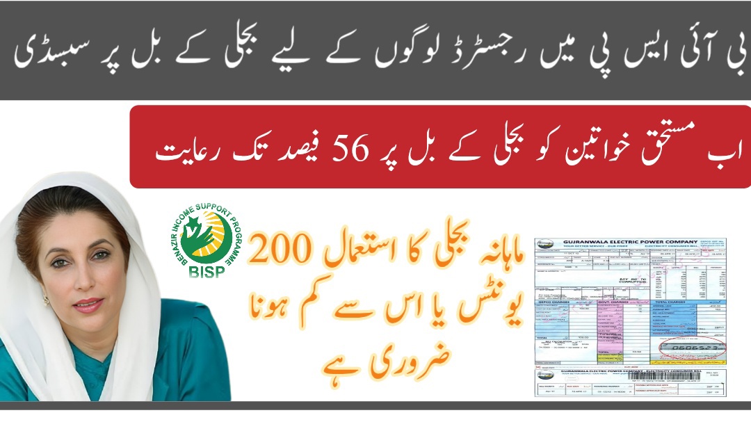 Bisp electricity subsidy 2025