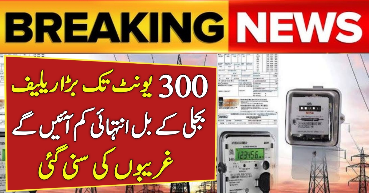 300-Unit Electricity Relief 2025
